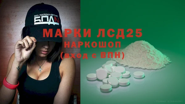 ECSTASY Майский