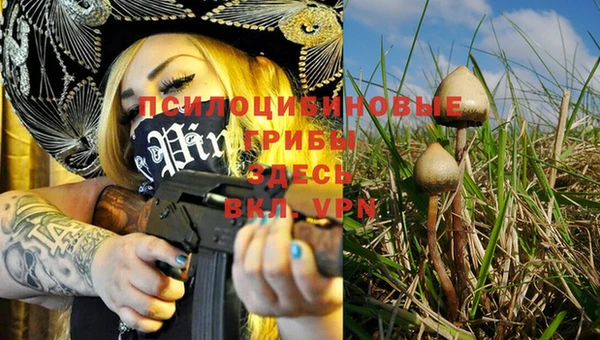 хмурый Магадан