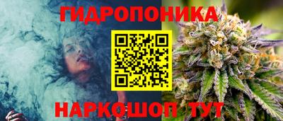 apvp Заводоуковск