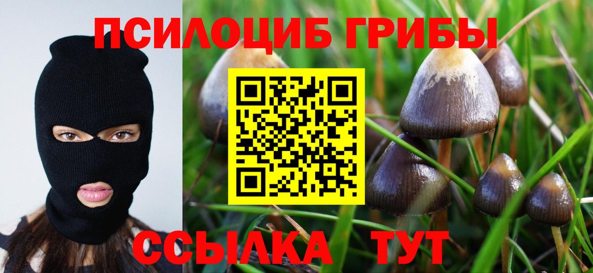 Галлюциногенные грибы мухоморы  Вход с VPN  Галлюциногенные грибы GOLDEN TEACHER  Туапсе 