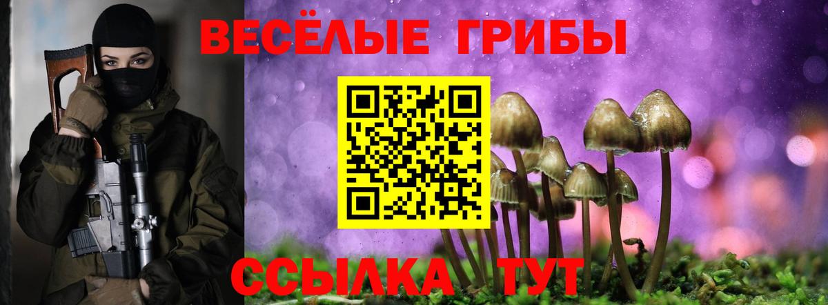Галлюциногенные грибы мухоморы Туапсе